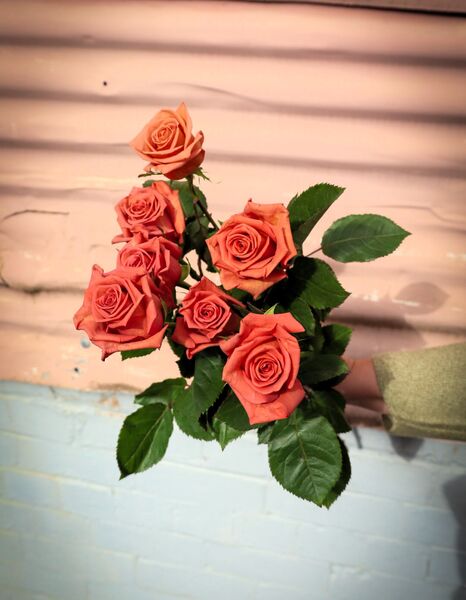 Ballarat Flower Jars - Barista Rose