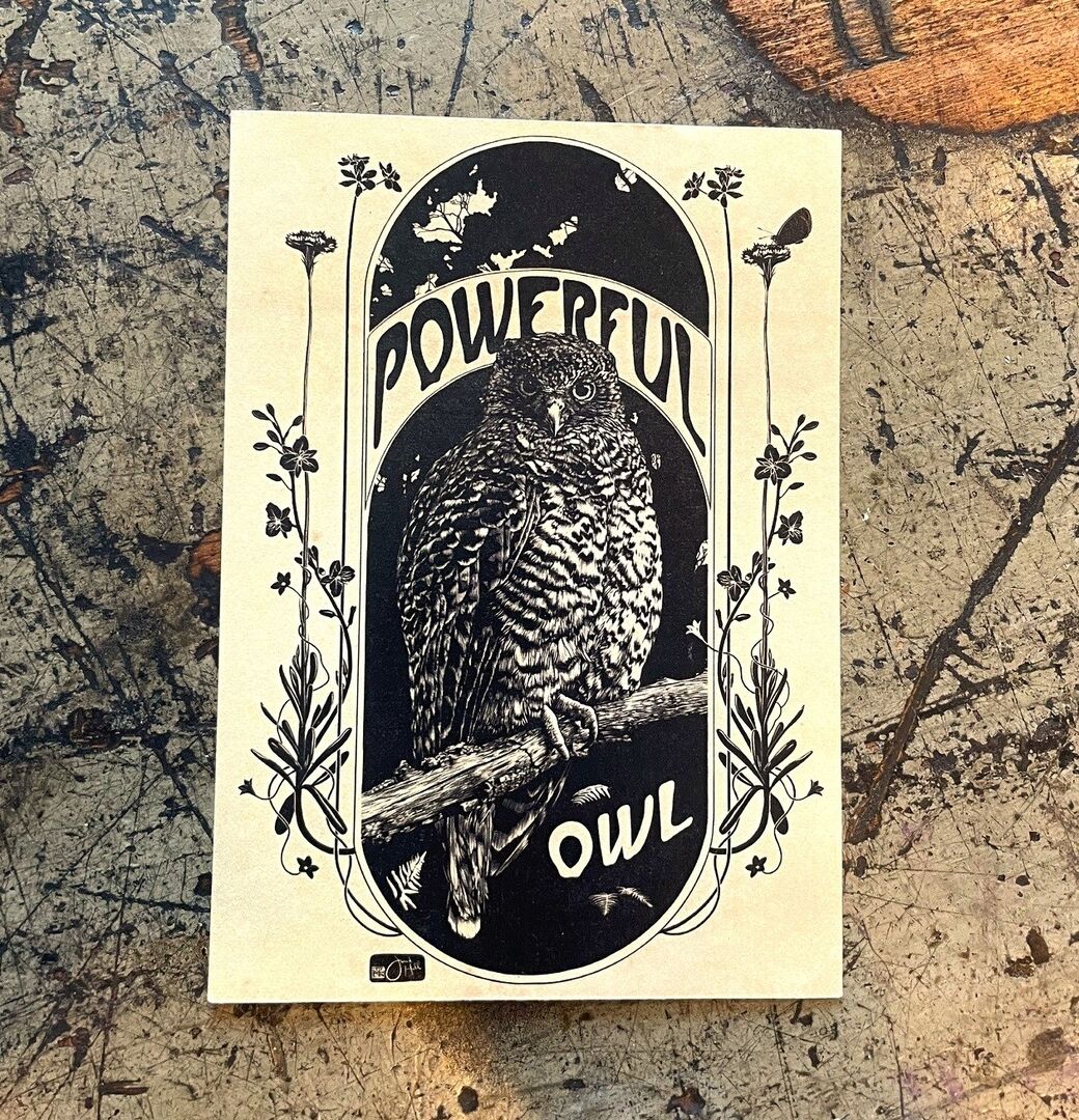 Vintage Owl Postcard