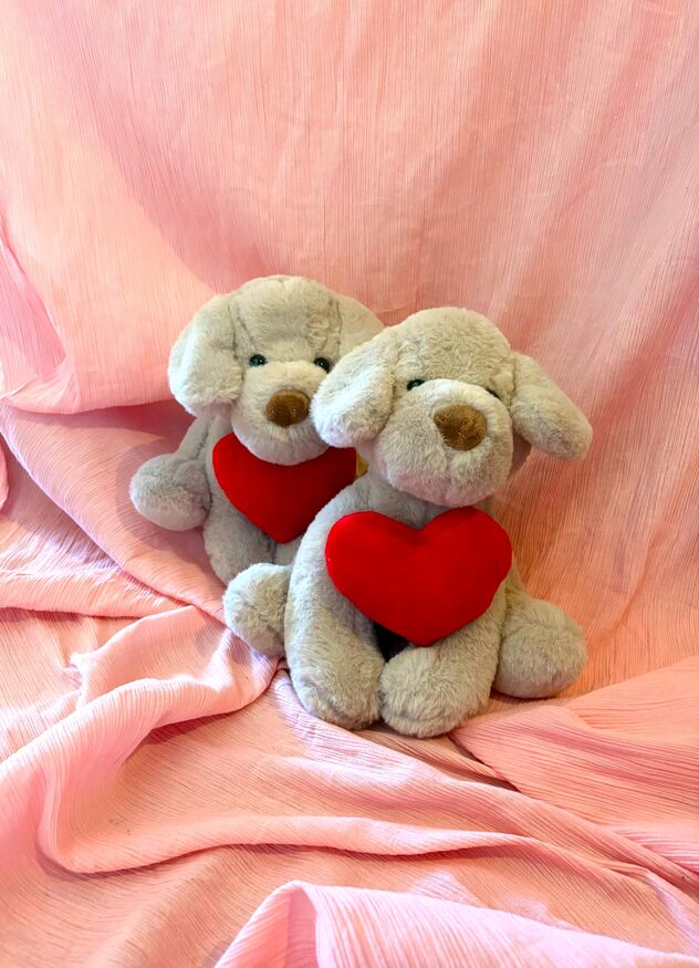 Puppy Love Plush